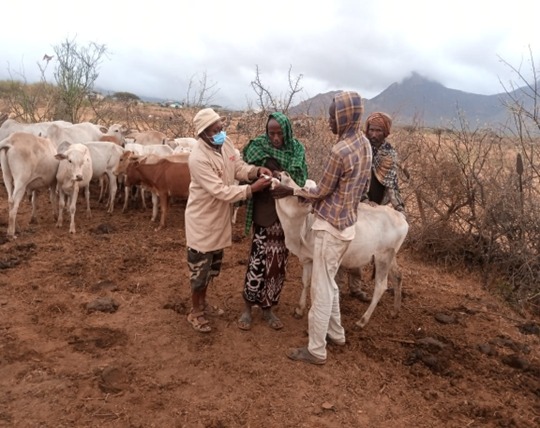 One Health Project – Animal Health Campaigns – Kenya and Ethiopia
